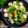 Cooksnap Q'leenalee's Kitchen semasa beliau membuat Sup Sayur Bebola Ikan.