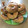 El cooksnap de tartaruga cuando hizo Donas al horno.