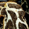 Cooksnap dari Dina Martha untuk resep Roti Tawar ala Leopard
