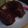 Cooksnap dari 🌺Ummu Syafiqah untuk resep EGGLESS CHOCOLATE CAKE with Ganache