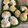 Cooksnap dari Suci Darulyani untuk resep *KLEPON LABU KUNING*