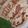 ام جوري🌷's cooksnap of when they made ساندويش الفلافل رووعة 😋.