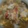 Cooksnap dari Gha Audrey FiorenZa untuk resep Sawi Putih Kuah Telur