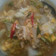 Cooksnap dari Gha Audrey FiorenZa untuk resep Sawi Putih Kuah Telur
