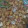 Cooksnap dari Dyah_dedebp untuk resep 877. Sambal Goreng Kentang + Cecek (kulit sapi)