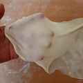 کوک اسنپ Mohaddeseh Allami بعد از امتحان کردن خمیر یوفکا (فیلو) خونگی Homemade phyllo dough.