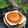 Cooksnap dari Zalfaa' Kitchen untuk resep Pudding Caramel Milktea