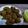 Sufiya Shaikh's cooksnap of when they made Moringa (Drumstick) Leaves Pakora.
