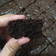 Cooksnap dari Ribka Puspita untuk resep Brownies Panggang