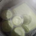 Cooksnap dari Asfahani Rauf untuk resep Sikaporo(Bingka telur pandan)