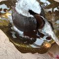 Cooksnap dari Rahmatul Hafidzah untuk resep Molten Cake