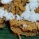 Cooksnap dari Pawon'e Mas Paijo untuk resep Kue apem beras kukus gula merah
