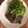 El cooksnap de Rocio Sanchez Suarez cuando hizo Tallarines verdes con carne💚.