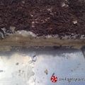 Cooksnap από Elena_88 στη συνταγή Banoffee