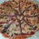 El cooksnap de Sandra cuando hizo Pizza de escalivada y anchoas.