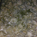El cooksnap de Anabel Hijano cuando hizo Cocochas de bacalao y gulas.