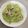 陳美惠 的 菜心炒肉絲 cooksnap