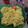 Cooksnap dari Titin Gisa untuk resep Bakwan Mie