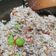 Cooksnap dari Soegianto untuk resep Nasi goreng kecombrang pete