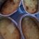 Cooksnap dari Susum Susum untuk resep Puding caramel