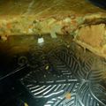 El cooksnap de Nanu😘 cuando hizo Tarta de atún.