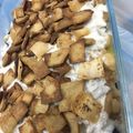 صورة من Physic Amitafoo، شاركها بعد تجربة وصفة فتة باذنجان 🍆🥔