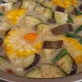 Cooksnap dari Selly untuk resep Lodeh Terong Labu Siam Sawi Putih