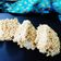 Archana Yadav का कुकस्नैप जब उन्होंने मुरमुरे की चिकी(Murmura ki chikki recipe in Hindi) बनाया था।