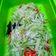 Cooksnap dari Debby Septiansyah untuk resep Sayur tumis labusiam