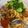 Cooksnap dari Wantari Noviarlis untuk resep Mie Ayam Ceker (ala wonogiri)