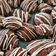 El cooksnap de Fiore Farías cuando hizo Galletitas de chocolate.