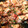 El cooksnap de Carmeta cuando hizo Champiñones salteados con pechuga de pollo.