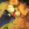 Cooksnap dari Gave Bunda Zidan untuk resep Kare ayam tahu
