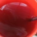 Cooksnap dari Indah Arinda untuk resep Wedang detox