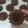 Cooksnap dari Afifa Fitia untuk resep Kue kering Coklat (kue lebaran kekinian)
