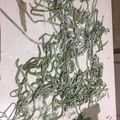 El cooksnap de Ludmila Varak cuando hizo Fideos caseros de espinaca.