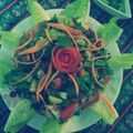 صورة من إم رهفَ Israa، شاركها بعد تجربة وصفة الفتوش🍴
