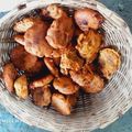 Rahila Begam's cooksnap of when they made মাটন টিকিয়া (mutton tikia recipe in Bengali).