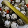 Cooksnap dari Bora untuk resep Kerang Dara Rebus