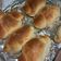 TZU 的 鹽可頌 海鹽奶油卷 Sea Salt Butter Roll cooksnap