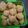 Cooksnap dari mardiana untuk resep Bola Bola Sukun