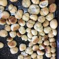 El cooksnap de Chabela Sanchez cuando hizo Pancitos Saborizados.