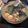 Cooksnap dari candra untuk resep Shabu-shabu (steamboat)