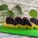 Cooksnap dari Dhita untuk resep Brownies Kukus Keju ala Amanda