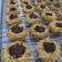 Cooksnap dari Mama Upay untuk resep Kuker kacang coklat