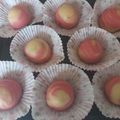 Cooksnap dari Grey untuk resep Bakpia Coklat
