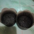 Cooksnap dari angky untuk resep Chocolate Custard Muffin
