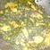 Raghu vanshu का कुकस्नैप जब उन्होंने मेथी आलू की सब्जी (Methi aloo Ki sabji recipe in hindi) बनाया था।