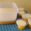 Cooksnap dari Nita Kumala Dewi untuk resep Puding mangga vla susu