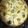 El cooksnap de Sil Fernandez cuando hizo Tarta de espárrago y brócoli.